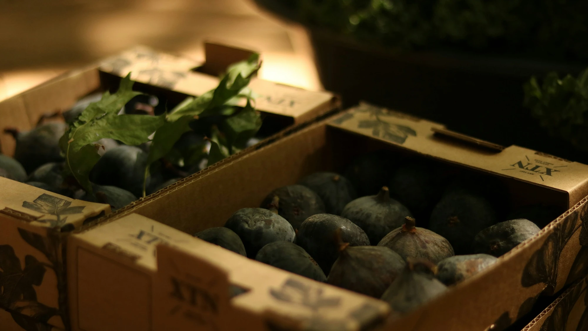 Green apples on a conveyor belt