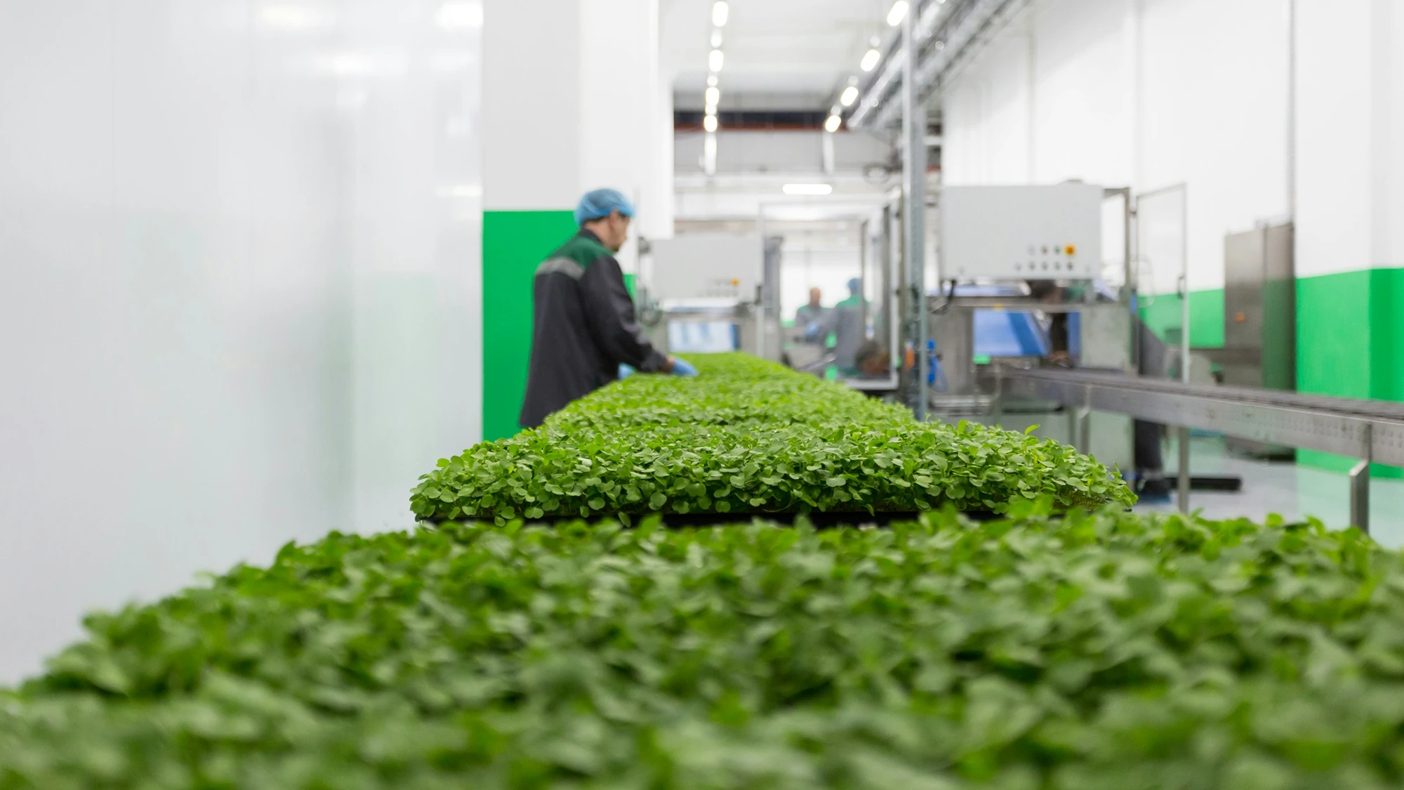 Warehouse with organised boxes of produce
