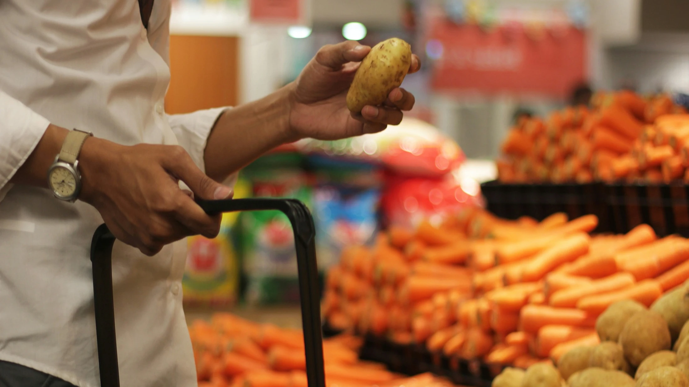 Hands holding freshly harvested potatoes and carrots